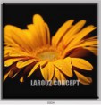 /album/photo-gallery-canvas-uri/decoratiuni-de-perete-canvas-lc-0004-jpg/